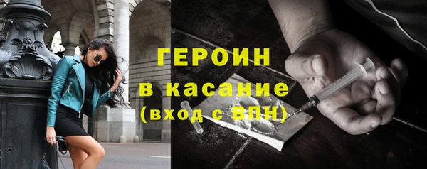 твердый Гусев
