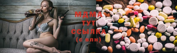 твердый Гусев