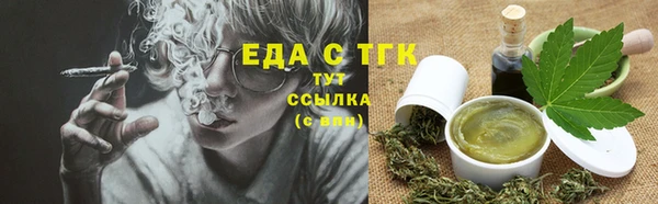 твердый Гусев