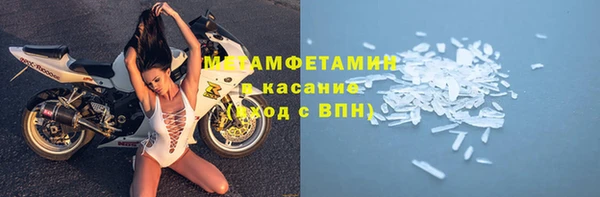 твердый Гусев