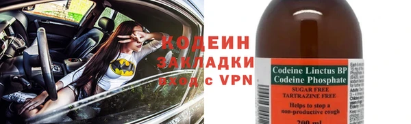 твердый Гусев