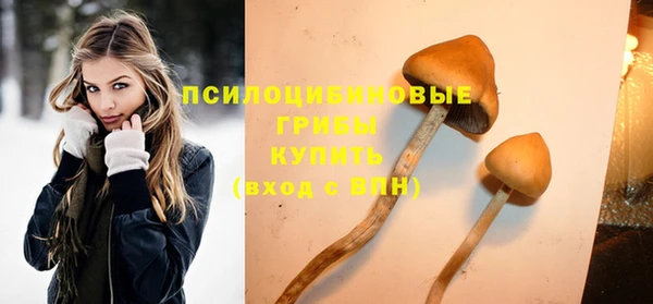 твердый Гусев