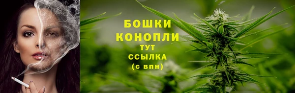 гашик Гусиноозёрск