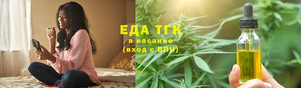твердый Гусев