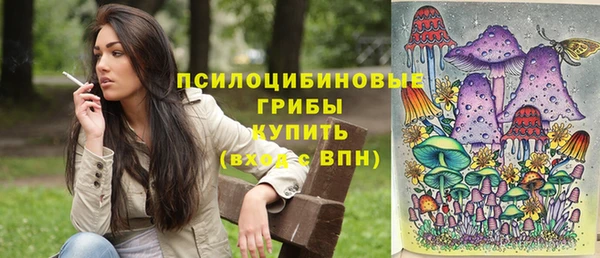 ПСИЛОЦИБИНОВЫЕ ГРИБЫ Дмитриев