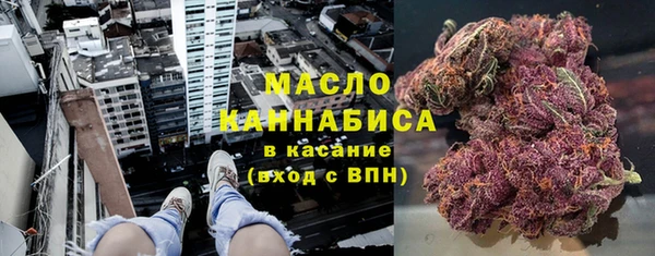 хмурый Дмитров