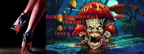 хмурый Дмитров