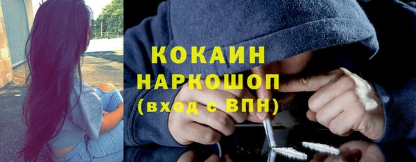 ПСИЛОЦИБИНОВЫЕ ГРИБЫ Дмитриев