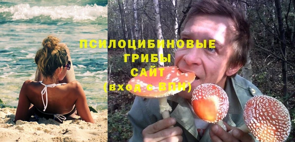 гашик Гусиноозёрск