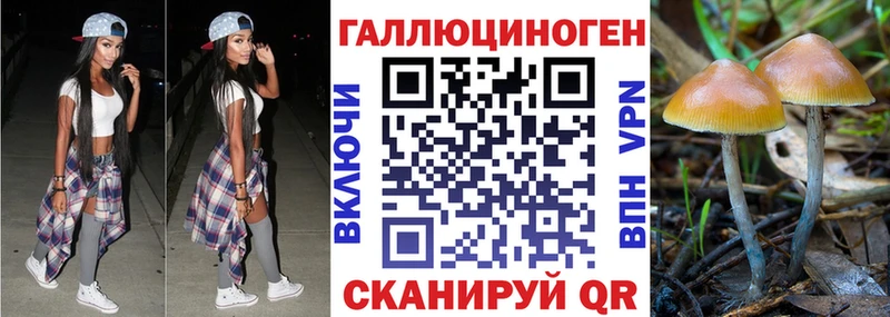 Псилоцибиновые грибы прущие грибы  Староминская 